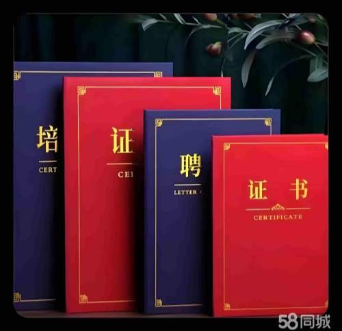 中专文凭快速获取：2025年最全指南与正规途径解析